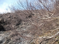 rra delle Concazze-201100508 007